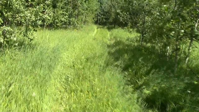 Святые родники Валдая. Часть 4. Holy springs Valdai.