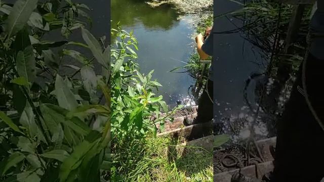 вышли с семьёй покидать 15мин. поисковый магнит на речке) смотреть онлайн