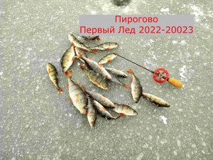 Пирогово. Первый Лед 2022-2023. Ловим Окуня.