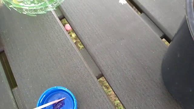 Черенкование Можжевельника Клонекс гелем.