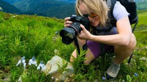 Экологический туризм