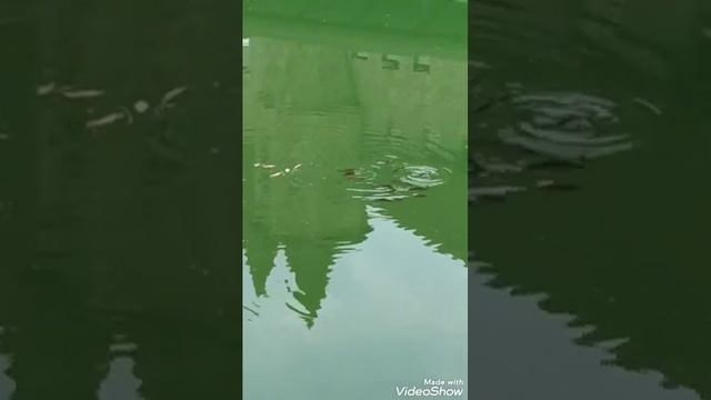 Замок "Шато Эркен"