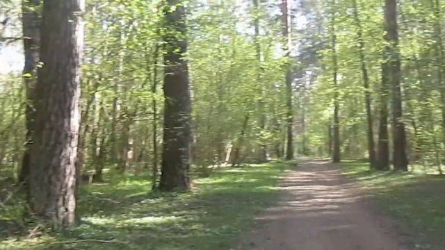 Пробежка Не в магазин. Калуга , бор. 05 2017 смотреть онлайн