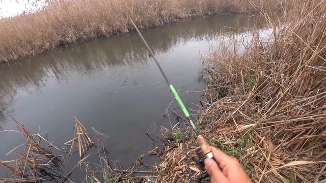 Наловил ведро рыбы Ловля карася осенью ( ноябрь). My fishing смотреть онлайн