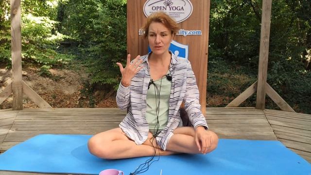 Как не кричать на детей. Екатерина Ахимса смотреть онлайн