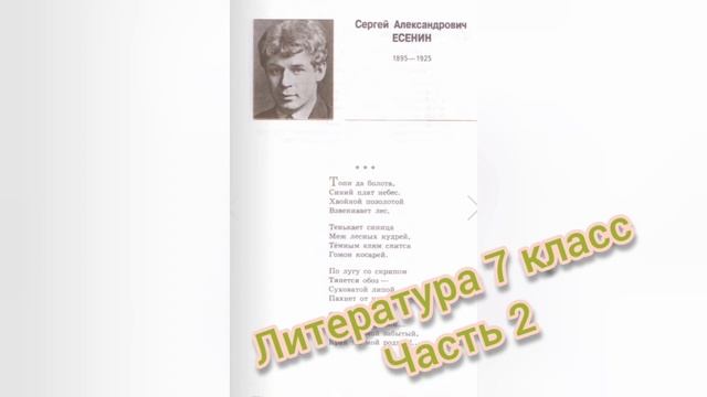 Топи да болота?Сергей Есенин?Учебник литературы 7 класс часть 2 смотреть онлайн
