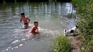 Джек Рассел Честер плавает с детьми.
