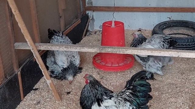 Брама смотреть онлайн