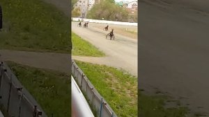 Гонки лошадей.я на гонках!!!!!!!!?