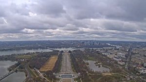 Можно ли держать дома драцену и какие суеверия с ней связаны