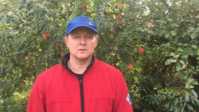 Как вырастить вкусные абрикосы и персики в Ленинградской области - давайте знакомиться!