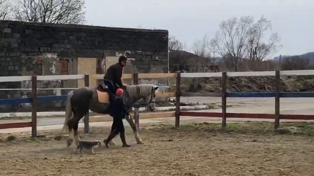ОФП во время карантина. смотреть онлайн