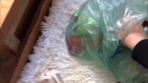 ПЕРЕЕЗД В ОБЩЕЖИТИЕ / ПЕРВЫЙ ДЕНЬ НОВОЙ ЖИЗНИ? / ПОКУПКИ В ОБЩАГУ #ВИДЕОДНЕВНИК