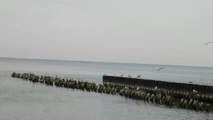 Осенний Светлогорск / Пляж и вокзал / Калининградская область