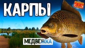 РР4/ рыбалка для души, ловим как универсал, общаемся 09.01.24