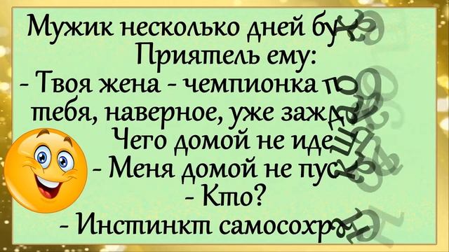 Анекдоты! Юмор! "Останавливает гаишник машину..." Позитивчик!))