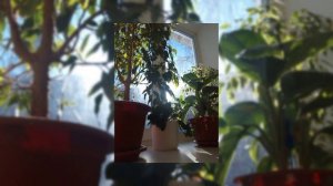 потап и настя - пришла и оторвала голову нам. speed up