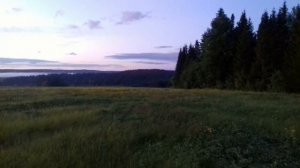 Застряли в лесу на буханке