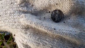 Удачный коп после долгого перерыва. Монеты, серебро...