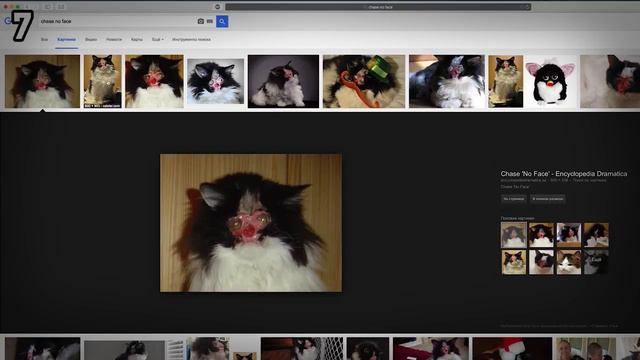 НЕ ИЩИ ЭТО В ГУГЛЕ! смотреть онлайн