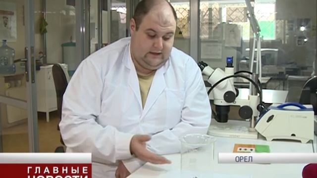 В Ливенском районе Орловской области найдена взрослая особь тарантула. смотреть онлайн