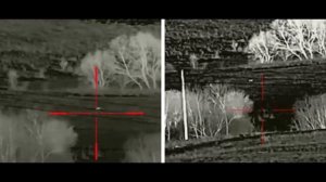 Iray Rico RL 42 LRF vs IRAY Geni GL 35 LRF