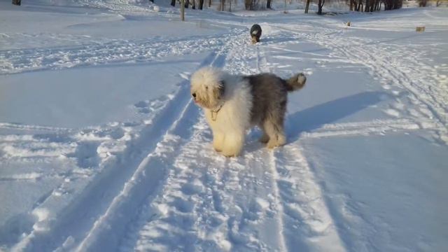 Циля, 20 мес смотреть онлайн