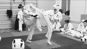 Каратэ для Сына- Лучше нет Киокушина? Киокушинкай каратэ/Дудин Доминик