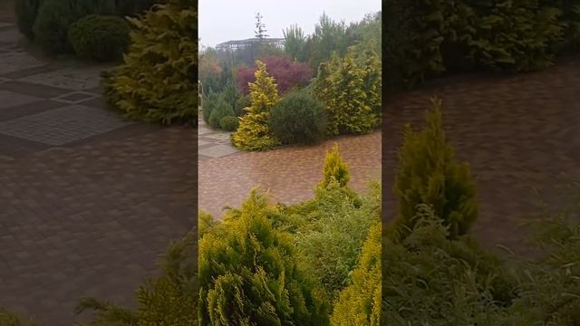 Парк Тайган. 10.05.23г. смотреть онлайн