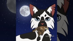 генератор племён/коты воители/племя солнечных рек