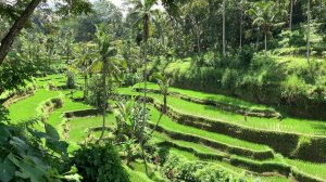 Медитация ☀️Вознесение Земли