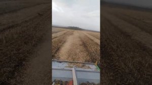 Измельчитель валков соломы, испытания рядах сои.