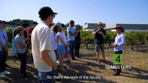 Viticulture and Enology at Bordeaux Sciences Agro