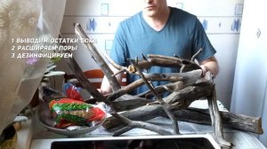 Мочилово обработка коряг без варки (Processing driftwood without cooking)
