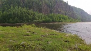 Огромный хариус. Рыбалка на Ангаре летом