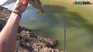 Порто  Ловля басса на спиннинг в Португалии  OnlySpin