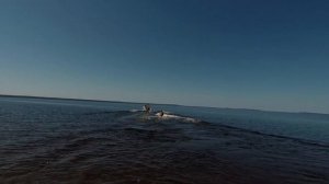 Карелия 2021/Остров Хед