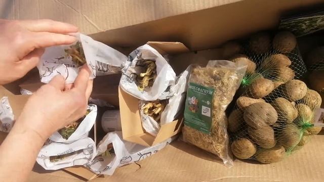 УРА! получили клубничку,удобрение для клубники,картошечку и....парнички для рассады. смотреть онлайн