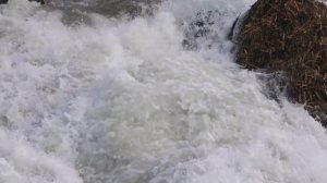 Звук горной реки для быстрого расслабления | Спите спокойно слушая звук реки для сна.