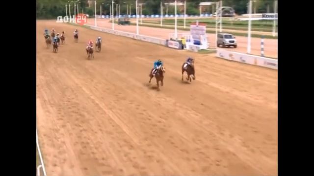 Конный завод "Донской" смотреть онлайн