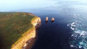 Сахалин п-ов Терпения, Остров Тюлений