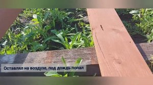 обзор дачи, нанесение антисептика для дерева ForWod