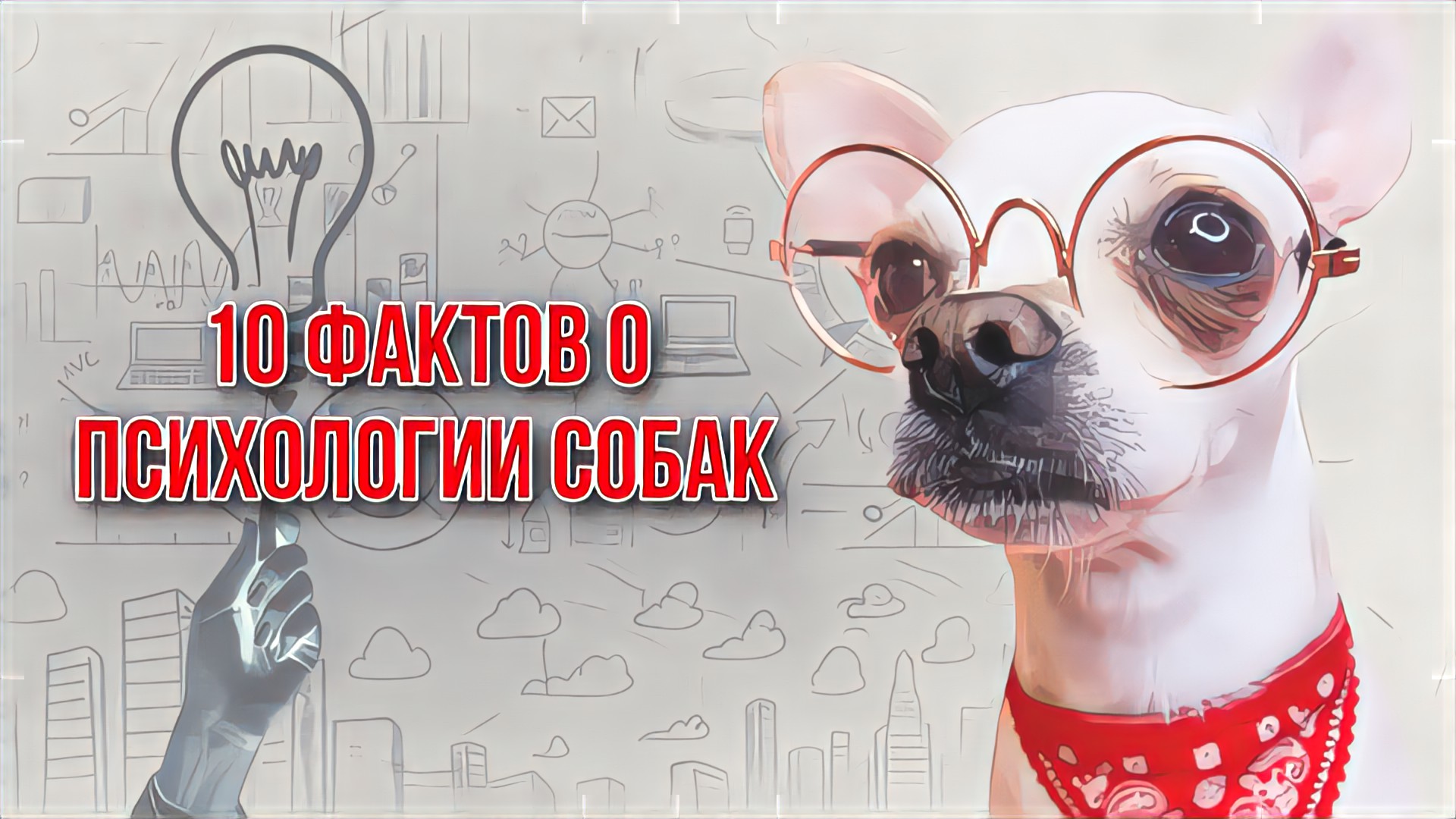 10 ФАКТОВ О ПСИХОЛОГИИ СОБАК