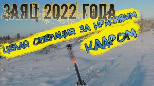 Охота на зайца 2022|Первый заяц 2022 года|Тропление зайца зимой