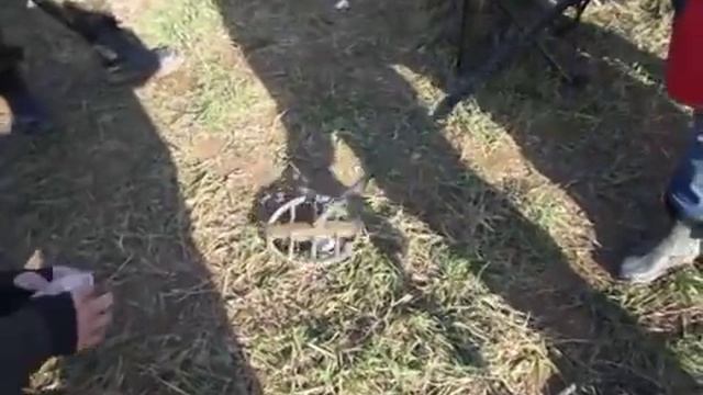 Золотая цепочка. Слёт Reviewdetector в Леоново 22.10.2011г... смотреть онлайн