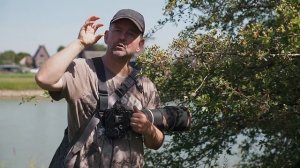 Sony A7Riv vs the A7iii for wildlife photography | Was it worth upgrading?