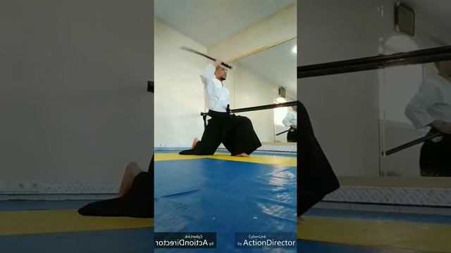 Iaido - Ushiro