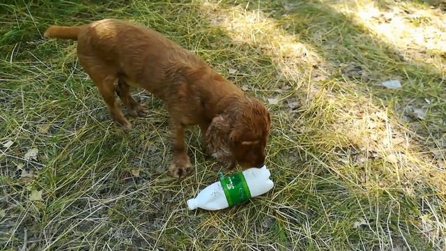 Три дня и три ночи в Кувандыке. Шайтан-гора. смотреть онлайн