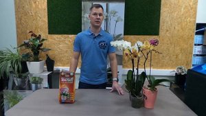 Грунт для орхидей «Цеофлора» 2,5 литра