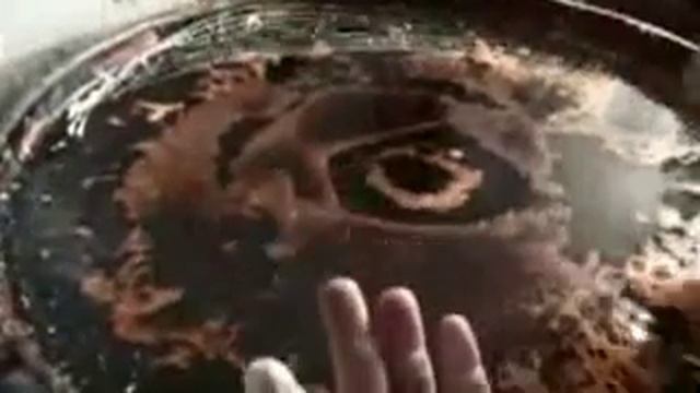 Азербайджанская ''Шеки'' пахлава смотреть онлайн